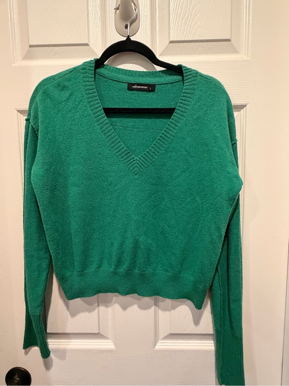 Olivaceous Emerald Green V-Neck Sweater